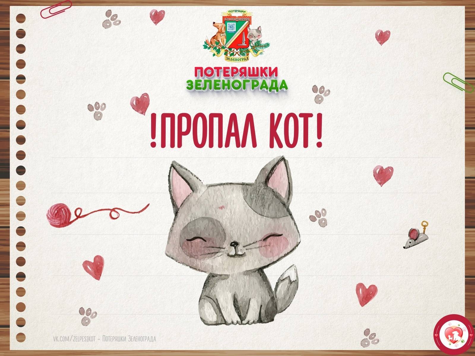 Пропал чёрный кот Цезарь, Зеленоград