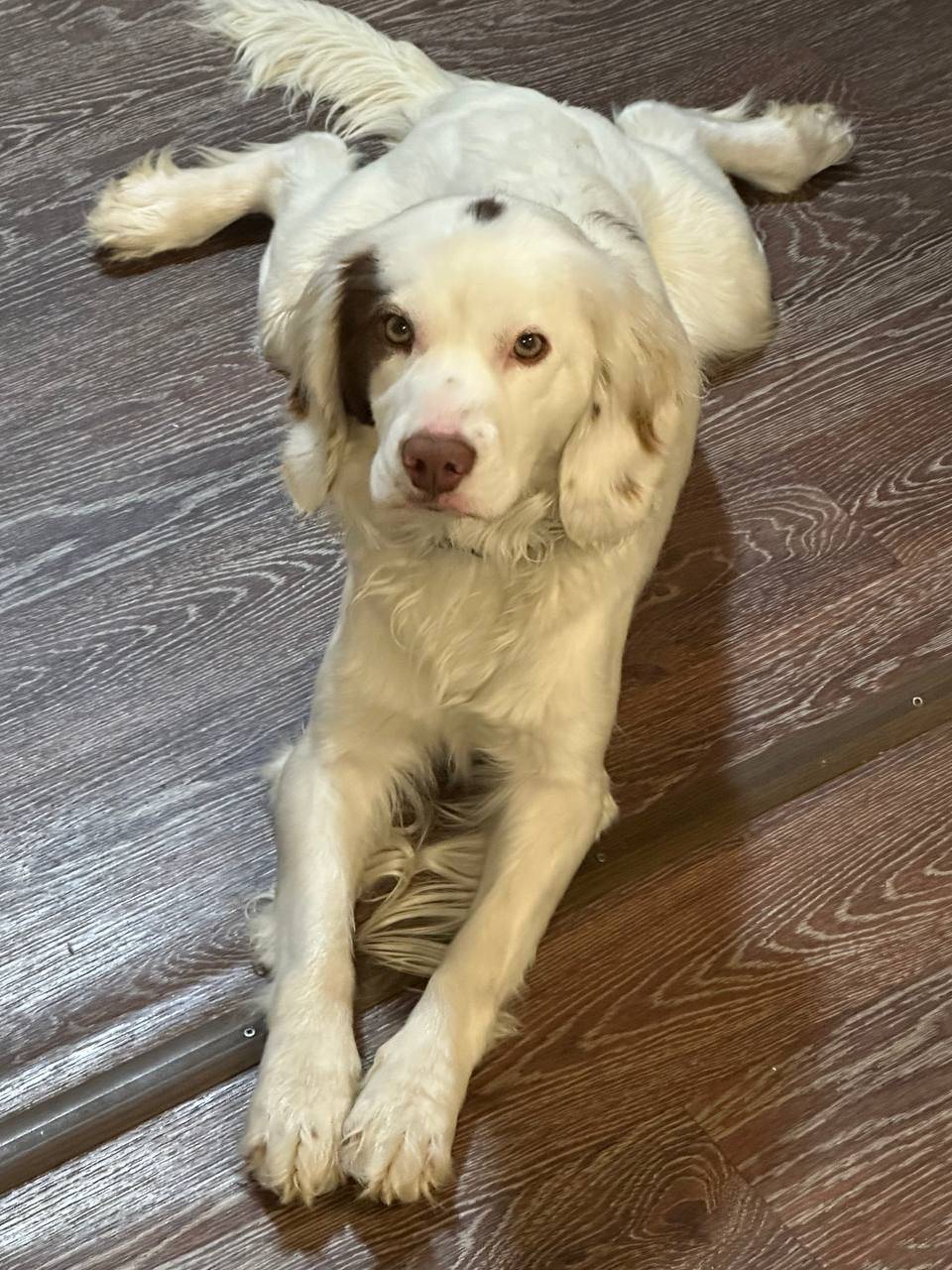 Пропал мальчик Симба, Боталово-4