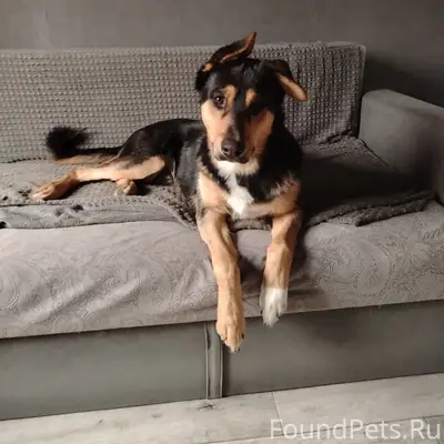 Пропал кабель Рэм, Вильповицы