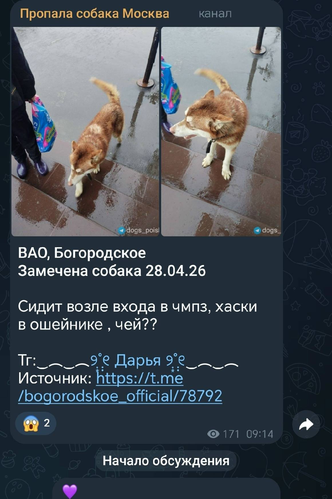 Найден хаски, Московская область