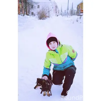 Пропала такса Джесси, Первомайская, Чкалов