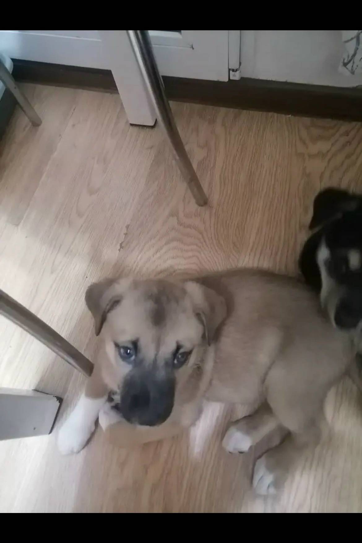 Пропала девочка Найда, Коминтерна 54