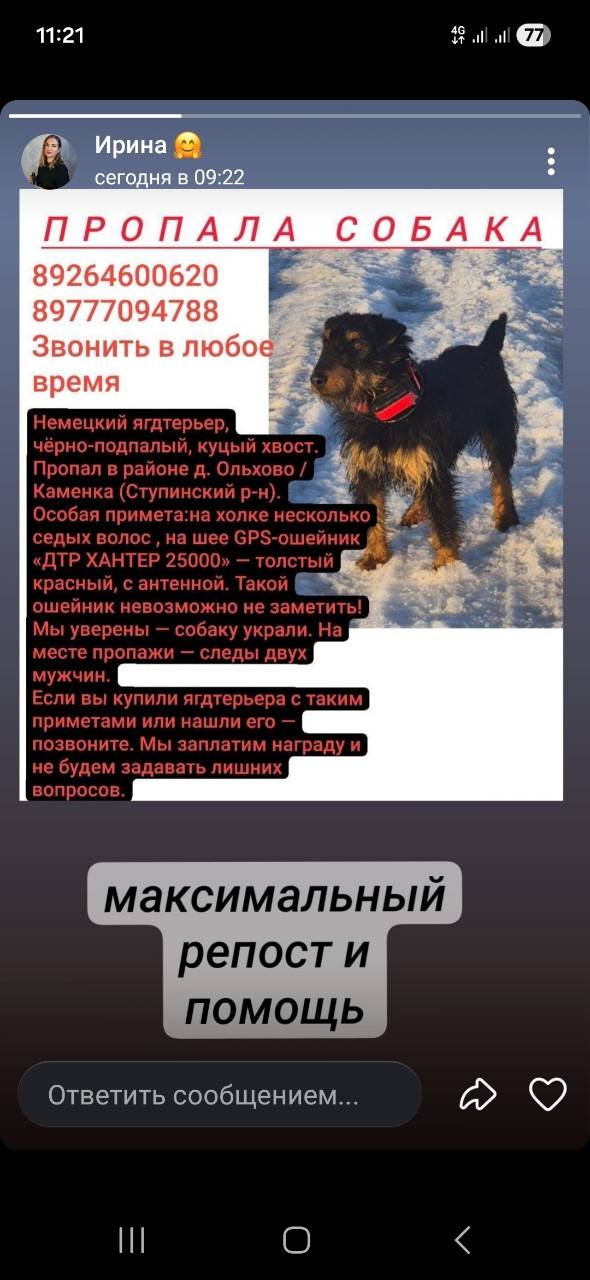 Пропала собака, Ступинский район