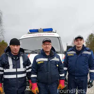 Найденна собака, поворот на «Кнауфф»