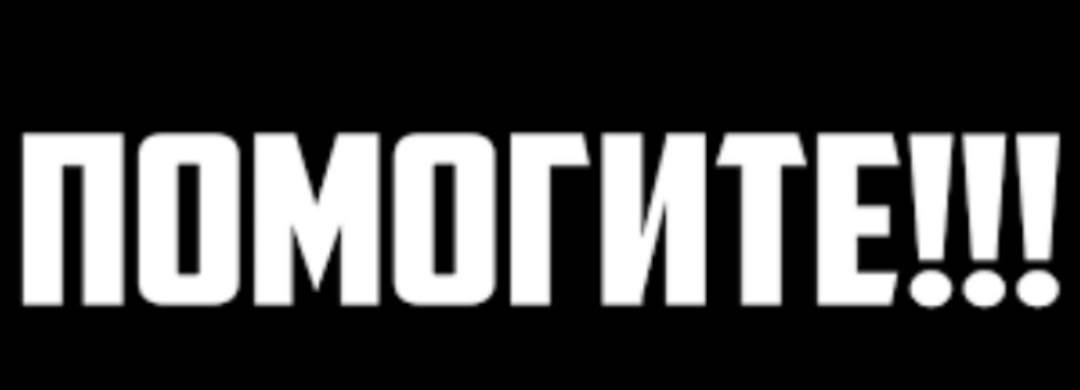 Найденна собака со штырём в лапе, Ворошиловский район