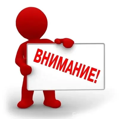 Найдена собака, улица Возрождение