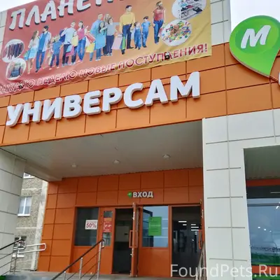 Пропал пёс, неизвестен район