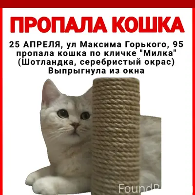 Пропала кошка Милка, Максима Горького