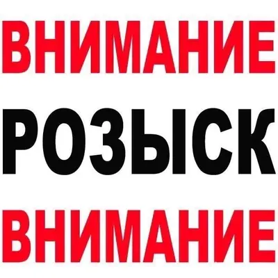 Пропала кошка, посёлок у Северной рощи (Простоквашино)