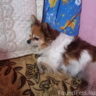 Найден тип неизвестен, место неизвестно