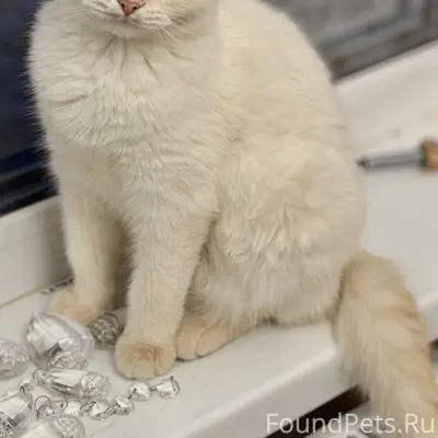 Пропала Кэсси