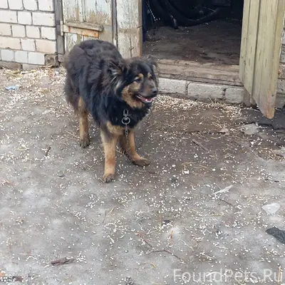 Пропал тип неизвестен, место неизвестно
