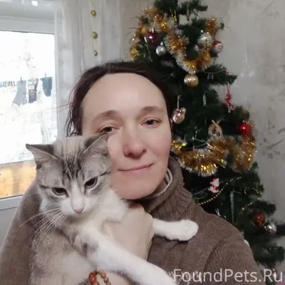 Пропала кошка Марся