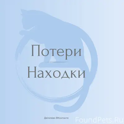 Пропал рыжий кот, 2-ой Аллейный проезд