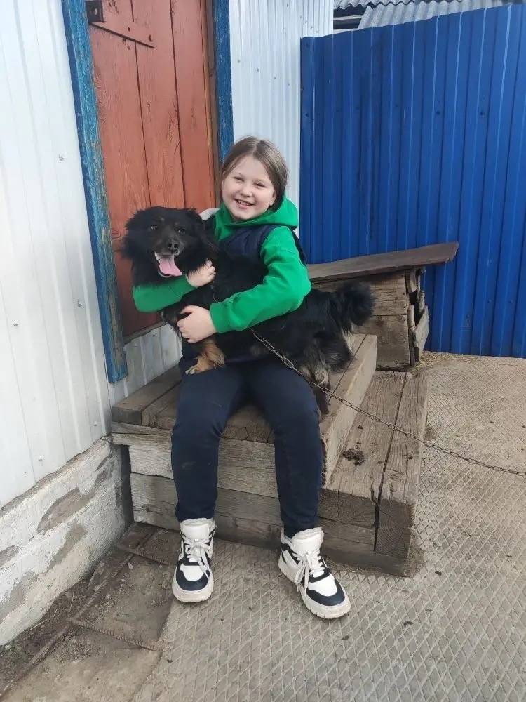 Пропал пёс Федя, Дружбы 9