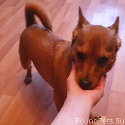 Найден рыжий мальчик, 7 ключей