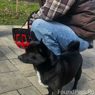 Найден тип неизвестен, место неизвестно