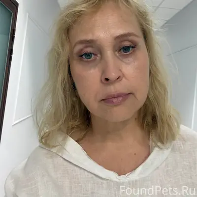 Найдена кошка, подъезд