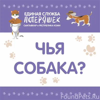 Найден рыжий лабрадор, ул. Морозова 128, Сыктывкар