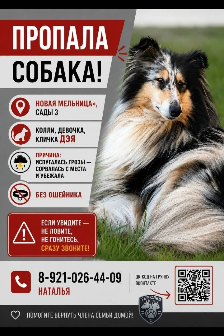 Пропала Колли Дэя, Новая Мельница