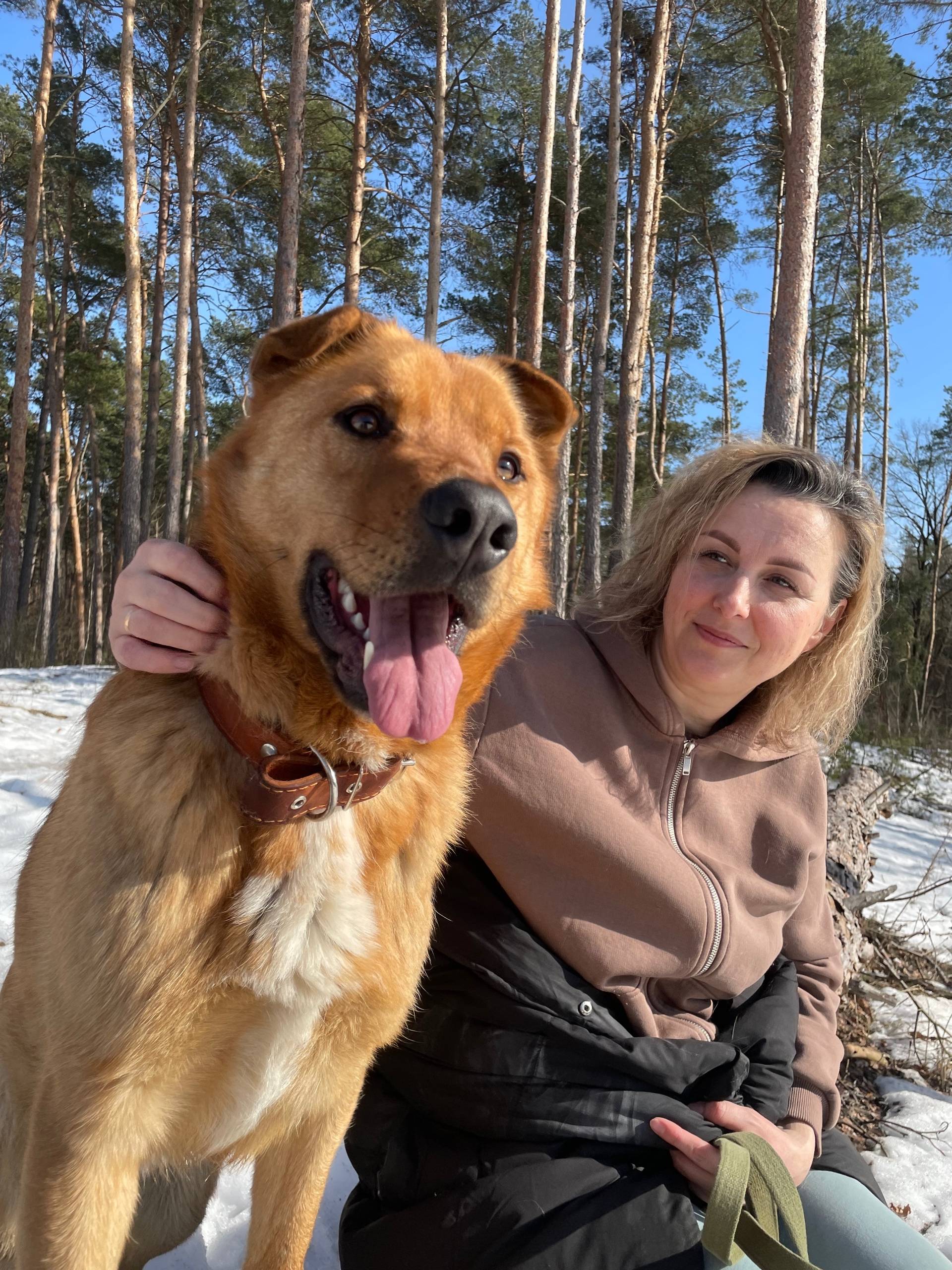Пропал пёс Лео, Гомель