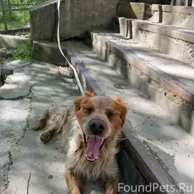 Найден мальчик Юлий, Симферополь