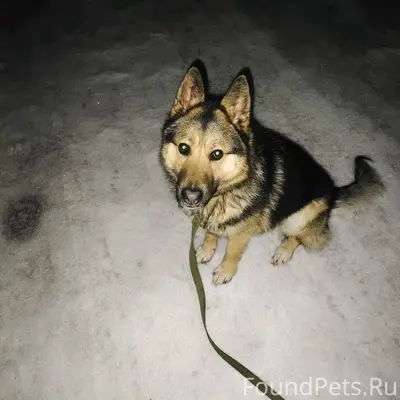 Пропал Барни, д. Борозда