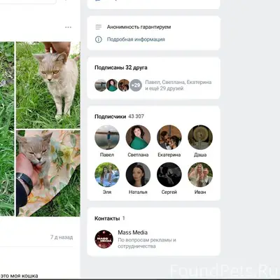 Пропала кошка,