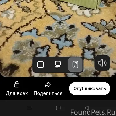 Пропал длинношёрстный серый кот, территория 4 гимназии