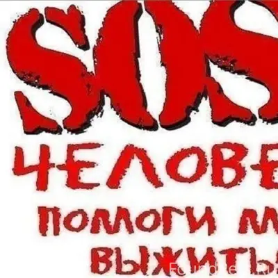 Найден котёнок, спинальник, Энгельс