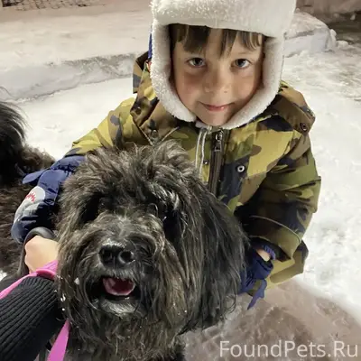 Пропал пес Чарли