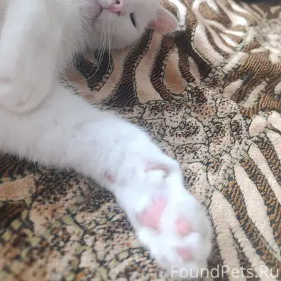 Выбежал из подьезда