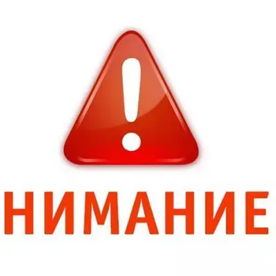 Пропал Джек Рассел, район 9-ой школы