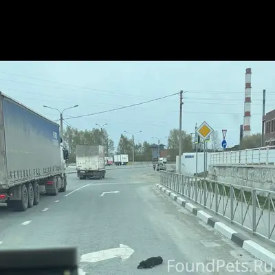 Пропала такса, район остановки «Речкуновка»