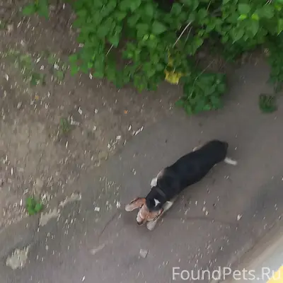 Найден мальчик Бигуль, Котлостроительная