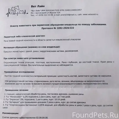 Найдена собака Дара, Бахчисарай