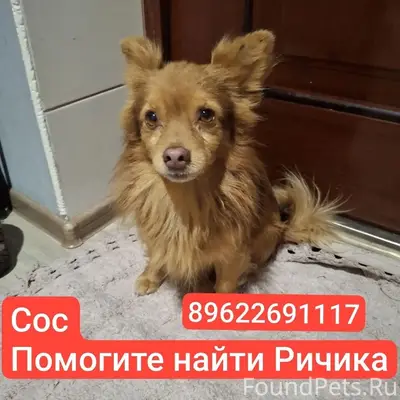 Пропал Ричик, Дорожное