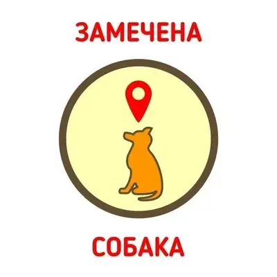 Пропала тойчик, трасса М5