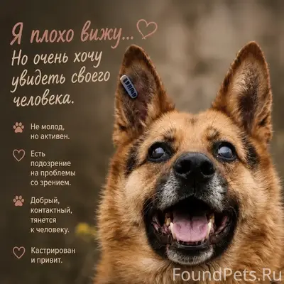 Найден немец, ул. Коммунистическая
