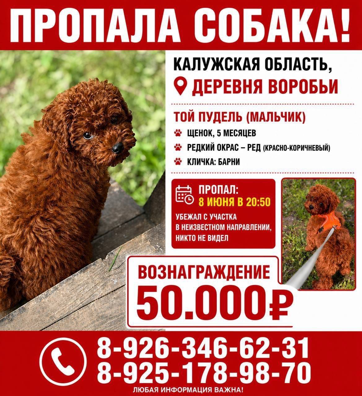 Пропал Барни, Калужская область