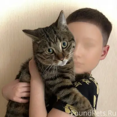 Пропал кот Марс, Ю-Запад
