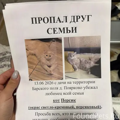 ПОМОГИТЕ НАЙТИ ДРУГА 