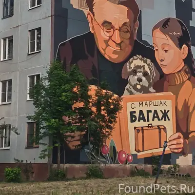 Пропал щенок, станция Дно