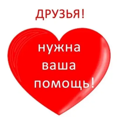 Пропал кот Персик, район ул. Комсомольская 3