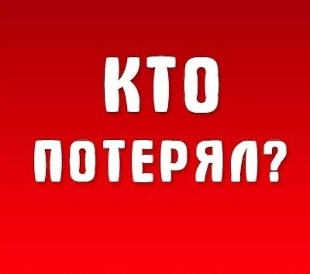 Найден черный котенок на Раздольной улице