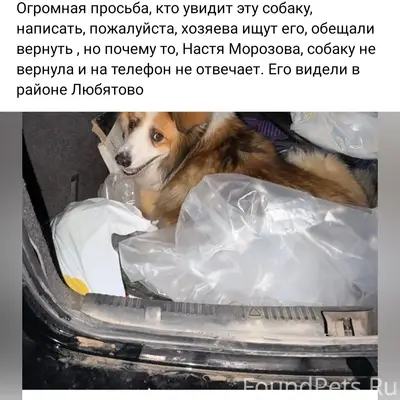 Пропал Бакс, Псков