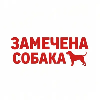Найден кокер-спаниель, Коминтерновский район