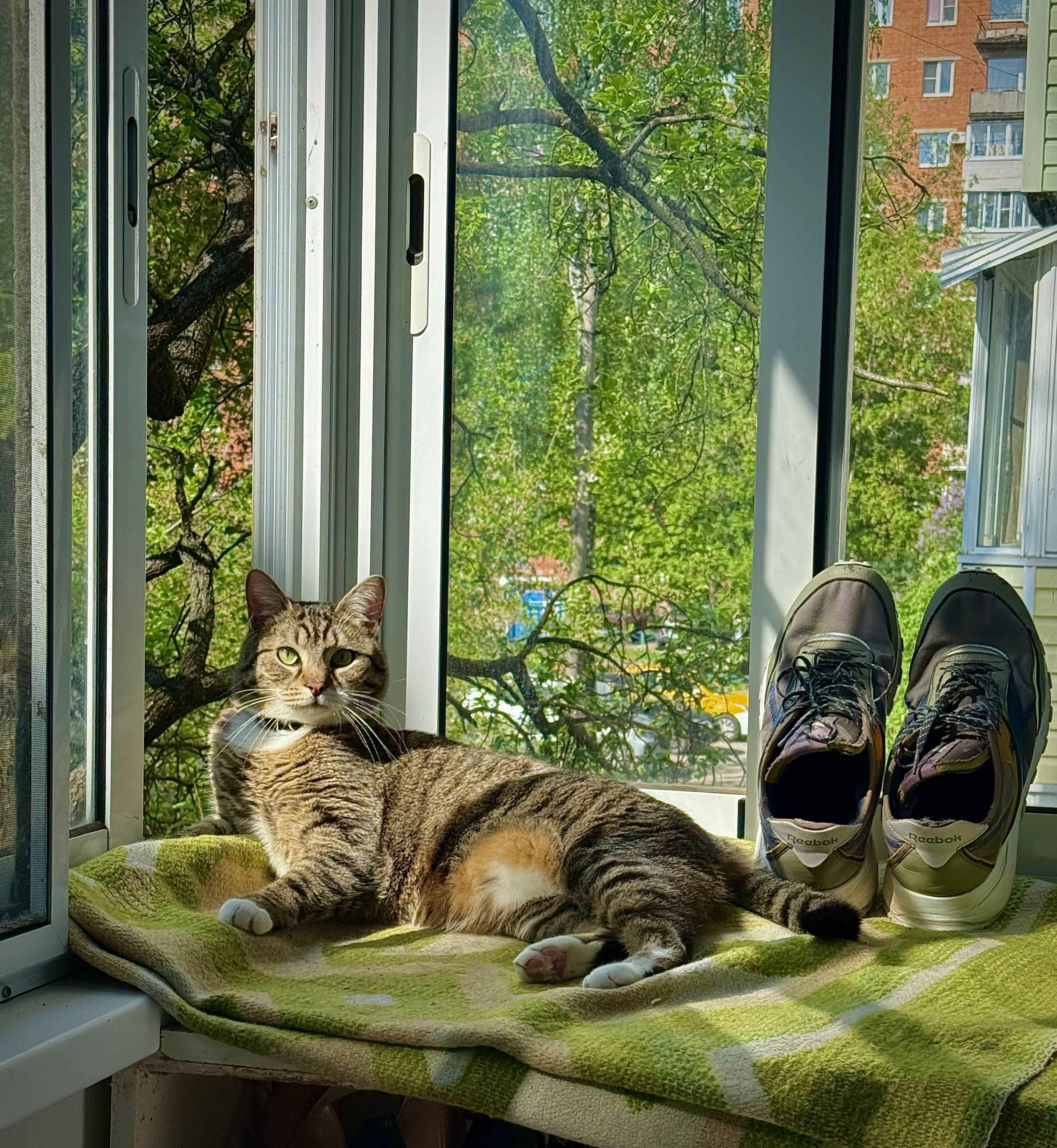 ПРОПАЛ ДРУГ!