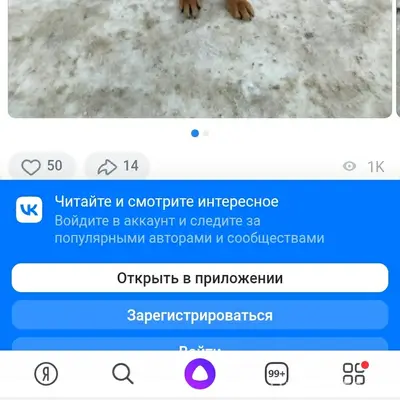 Пропала собака, есть бирка и ошейник