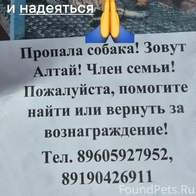Пропали собаки, Кардымовский район, Демидов